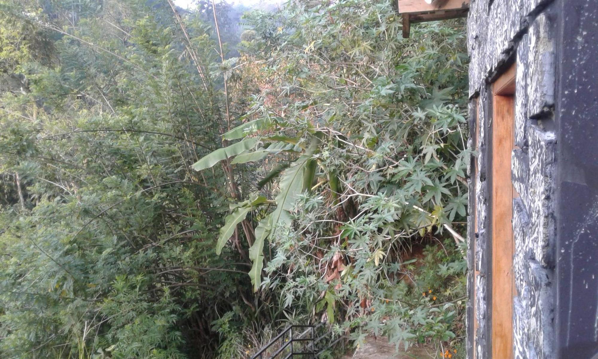 Готель Ella Lucky Panoramic Номер фото